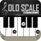Solo Scale Controller